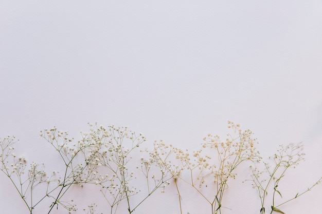 Floral composition with wildflowers on bottom