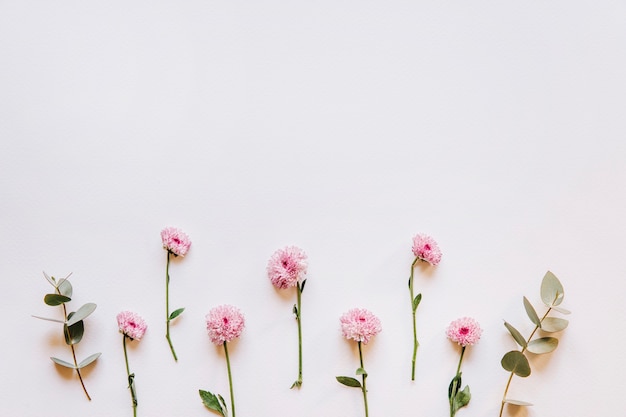 Free photo floral composition with wildflowers on bottom