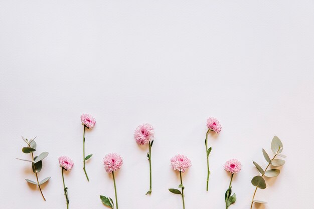 Floral composition with wildflowers on bottom