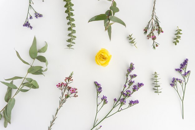 Floral composition with yellow flower