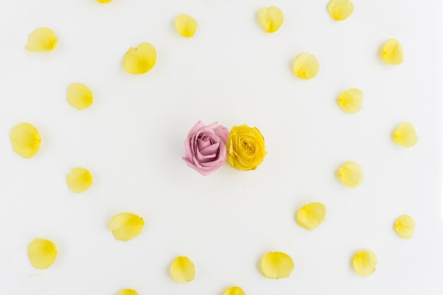 Floral composition with yellow petals