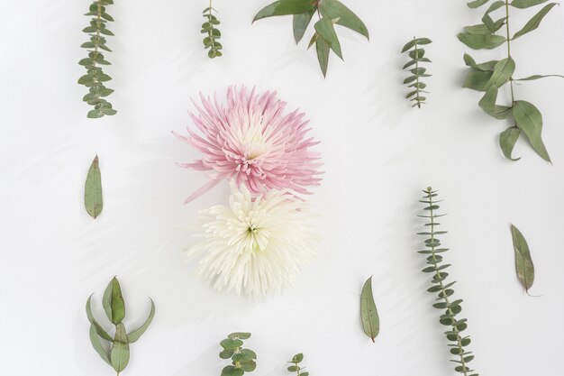 Floral decoration on white background