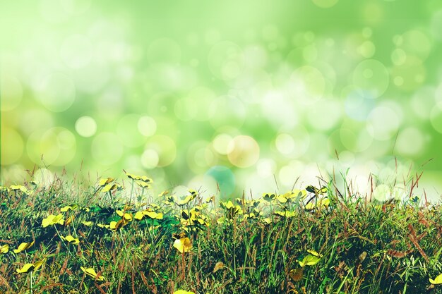 ボケ効果を持つ花のデザイン