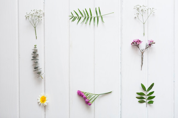 Floral frame on white wooden background