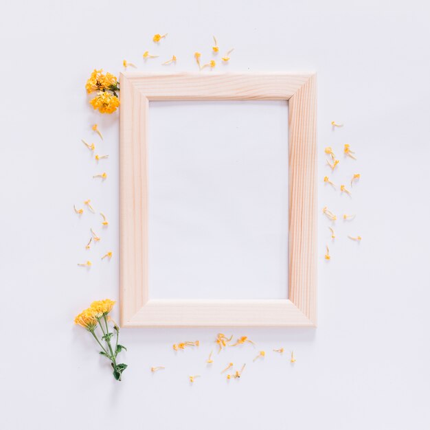 Floral frame