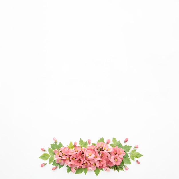 꽃줄기
