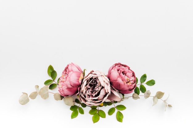 Free photo floral garland