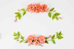 Free photo floral garland