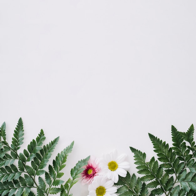 Free photo floral leaves background