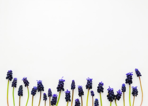 Floral ornaments