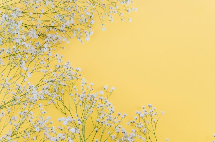 無料Photo 花飾り