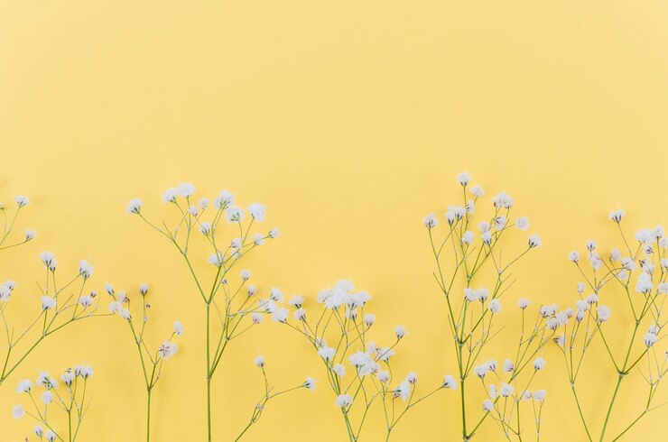 無料Photo 花飾り
