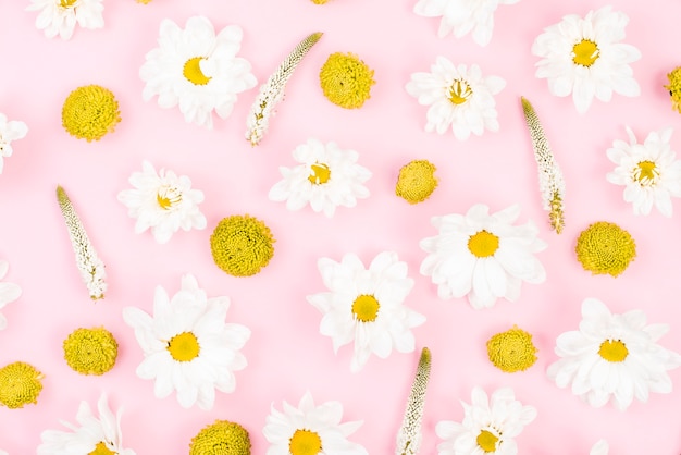 Floral pattern made with white and yellow flowers on pink background