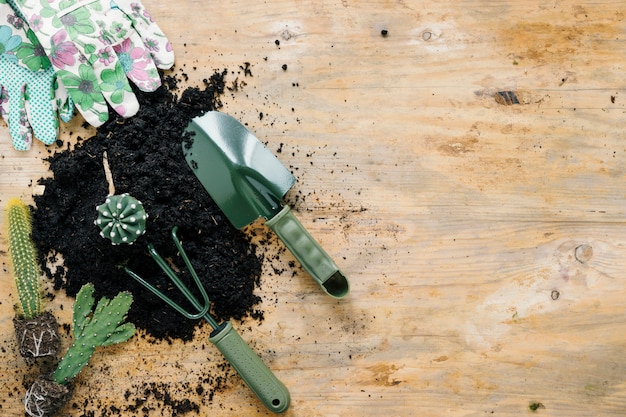 Перчатки с цветочным принтом; черная грязь; сочные растения и садовая техника на деревянном столе