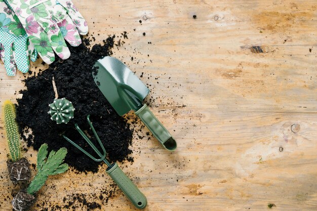 Floral print hand gloves; black dirt; succulent plants and gardening equipments over wooden desk