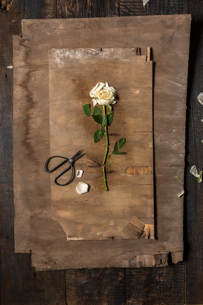 florist desktop with working tools