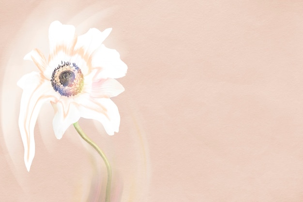 Flower background, pink and white anemone psychedelic art