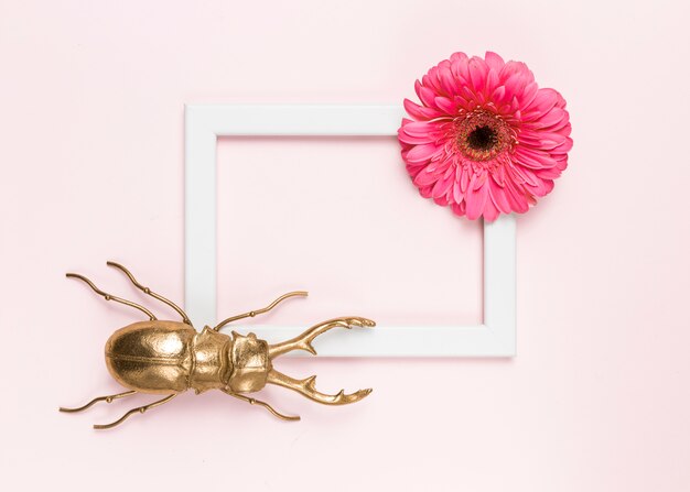 Flower, beetle and frame