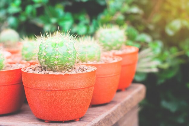 花植物のコピー要素のパターン