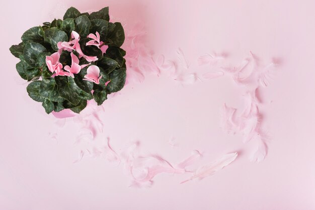 Flower bouquet with petals frame on pink background