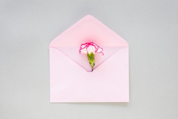 Flower bud in envelope on table