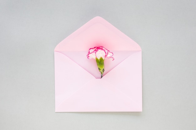 Flower bud in envelope on table