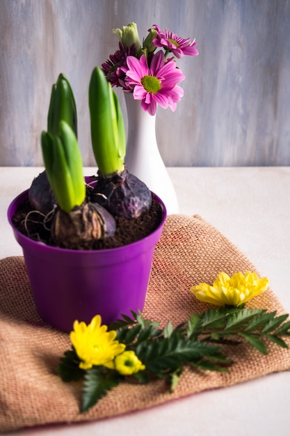 Free photo flower bulbs growing in little pot near vase on burlap