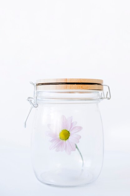 Flower in closed glass