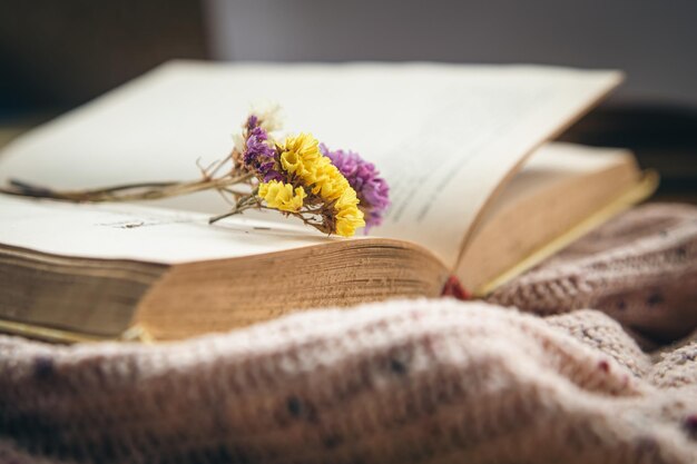 Flower of colorful dried flowers on an open book closeup