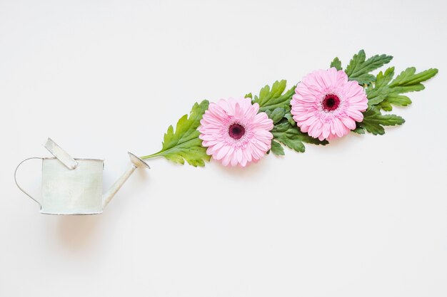 Flower composition near watering can