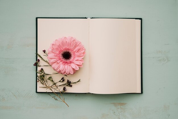 Flower composition on opened notebook