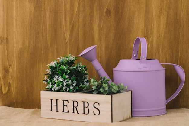 Free photo flower composition with herbs and watering can