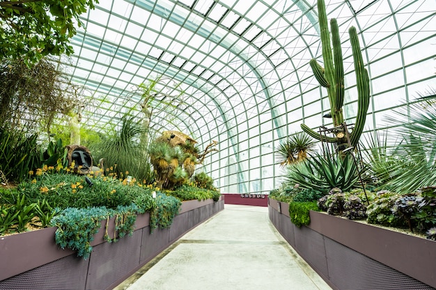 Download Free Stock Photo: Flower Dome Garden and Greenhouse Forest for Travel