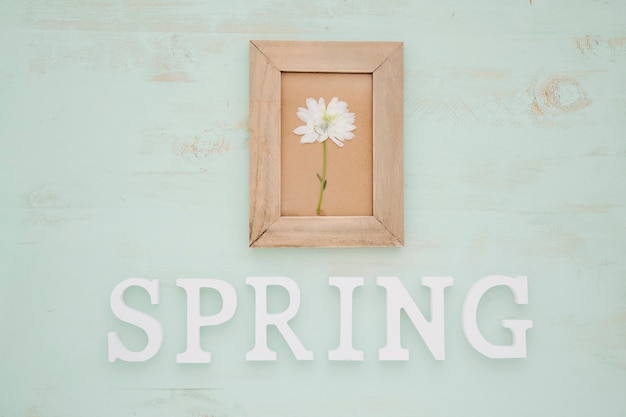 Flower in frame over spring writing