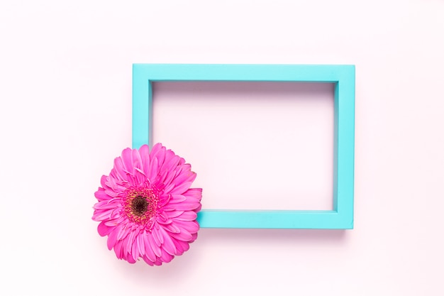 Free photo flower and frame