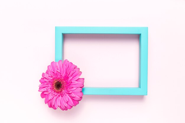 Flower and frame