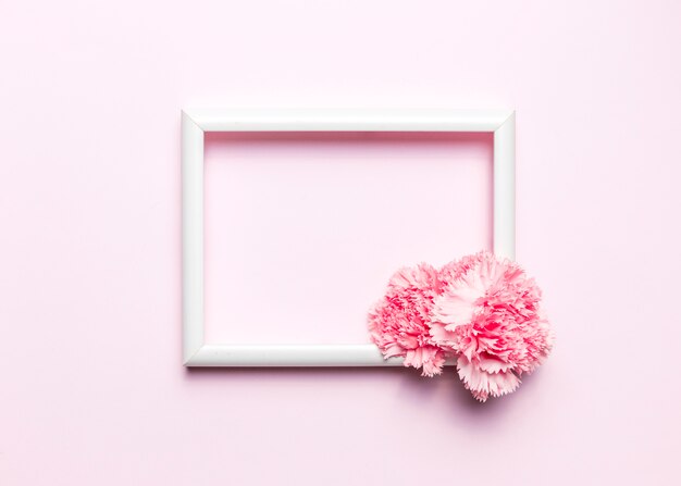 Flower and frame