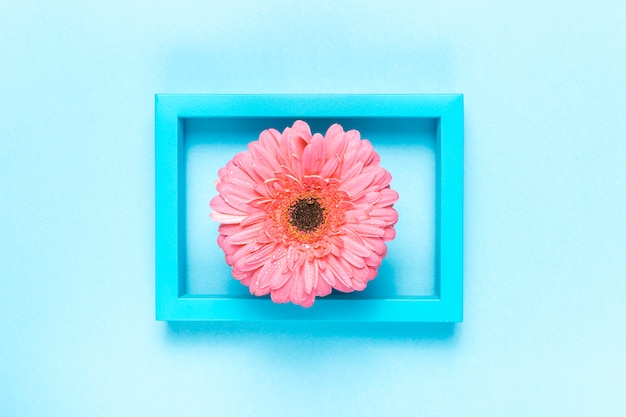 Flower and frame