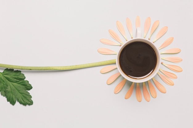 무료 사진 커피 컵과 꽃잎에서 꽃