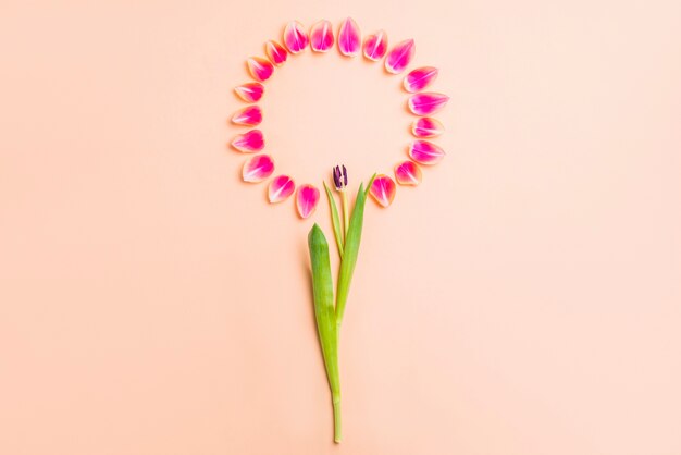 Flower from petals and stem