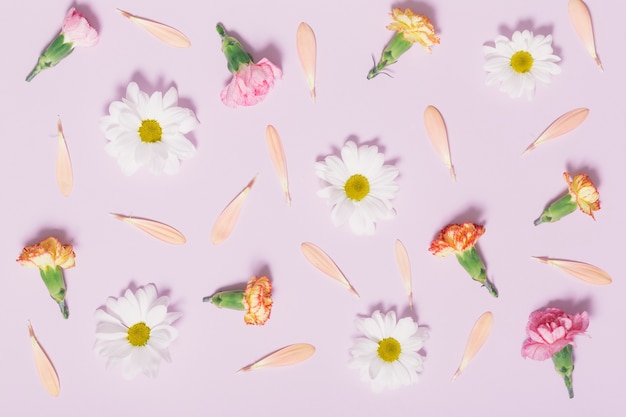 Flower heads and petals composition