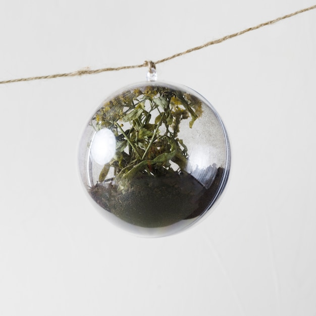 Free photo flower inside glass ornament hanging from a rope