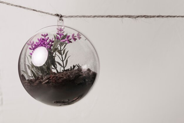 Flower inside glass ornament hanging from a rope