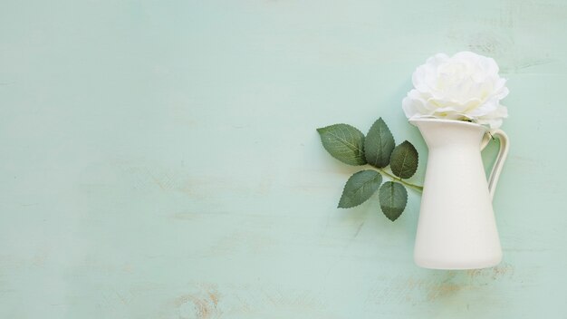 Flower in jug