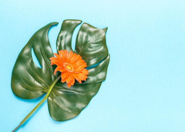 Free photo flower and monstera leaf