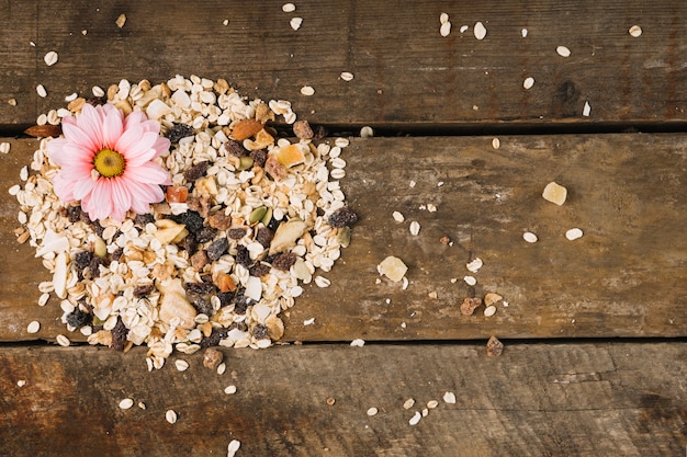 Free photo flower on muesli