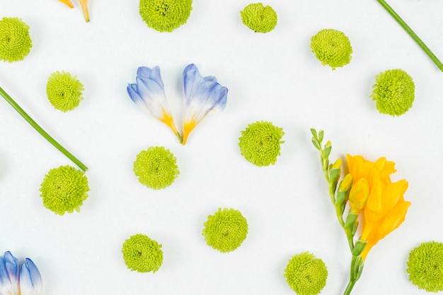 Flower pattern on white background