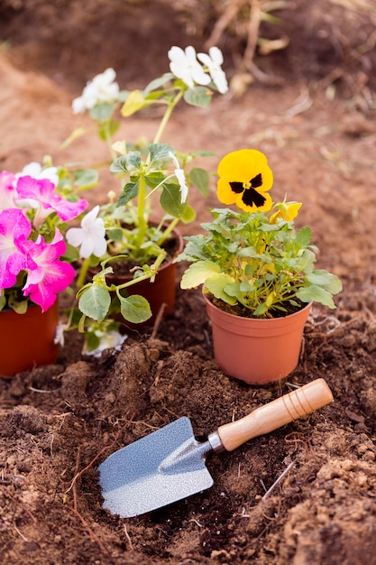 Flower pots on soil with tool