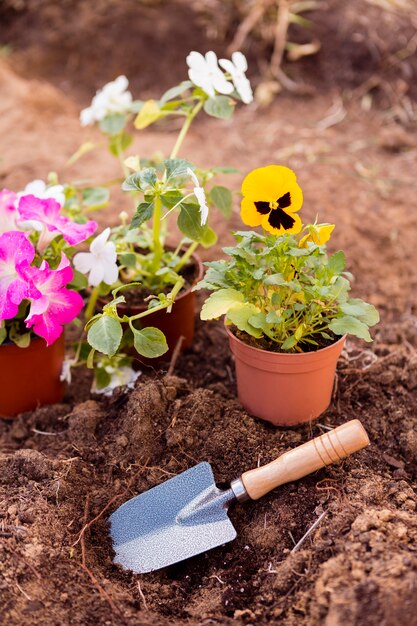 Flower pots on soil with tool