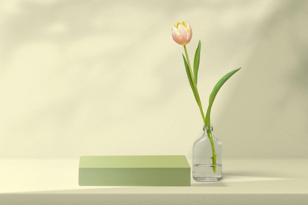 緑のチューリップと花製品の背景